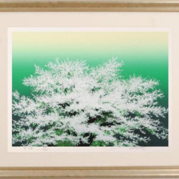 池上壮豊 白桜