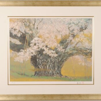 伊藤嘉晃 淡墨桜