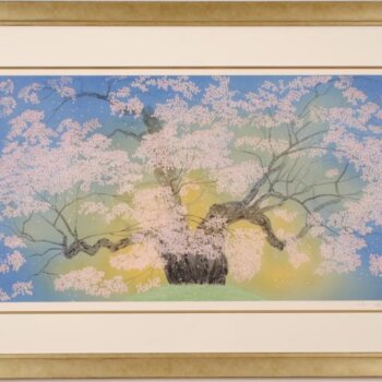 中島千波  醍醐桜
