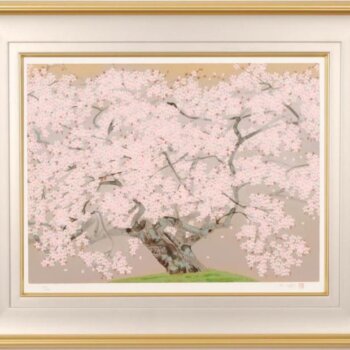 中島千波  春麗山桜