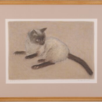 大藪雅孝 猫