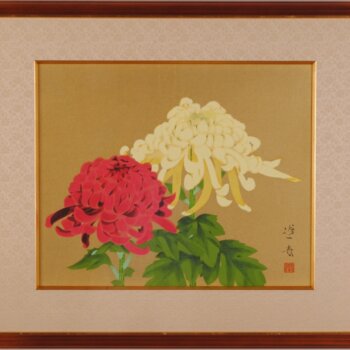 山口蓬春  菊