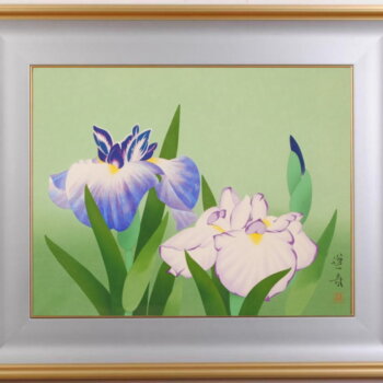 山口蓬春  花菖蒲