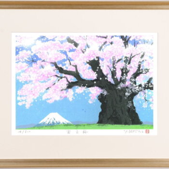 吉岡浩太郎 富士桜