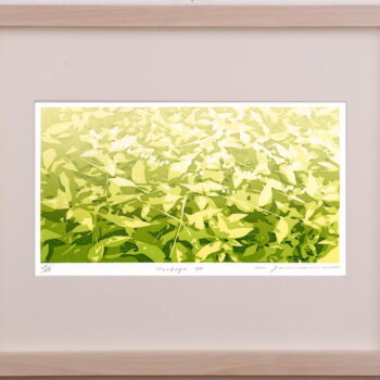 吉村明子 Herbage・7
